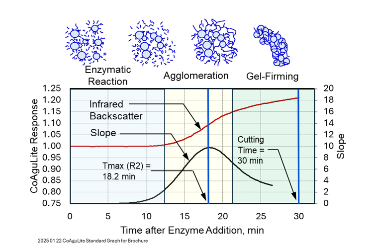 figure2.png